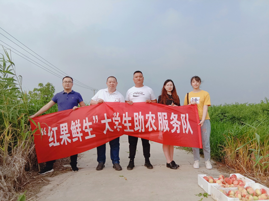 女性抹胸开襟哺乳衣的注意事项